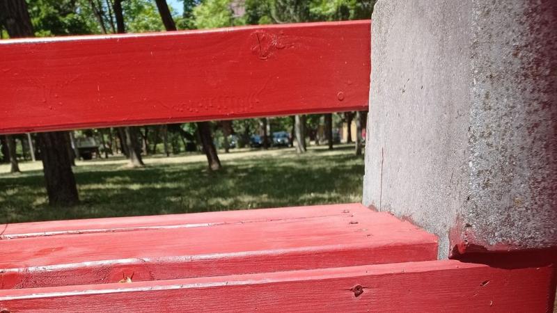 A Derék utcán meglepő és felkavaró látvány fogadta a járókelőket: belső szerveket találtak, amelyeket a helyszínen rögzítettek. A fotók a groteszk és elkeserítő valóságot tükrözik.