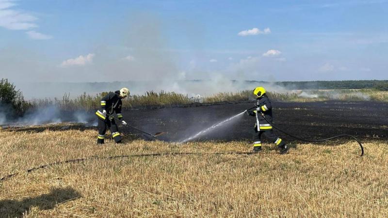 Megdöbbentő statisztikák – idén eddig már 57 szabadtéri tűzeset történt a vármegyében.