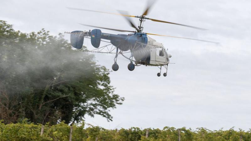 A szomszédos területen már véget ért a szőlőkabóca elleni légi permetezés, viszont Zalában a Nébih tájékoztatása szerint még nem is indult el a folyamat.