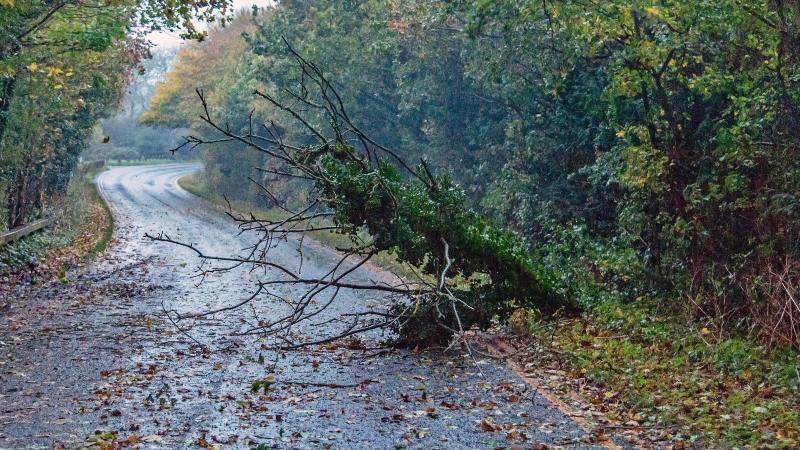 A meteorológiai szolgálat figyelmeztetést adott ki a Dunántúlon várható viharos szél miatt.