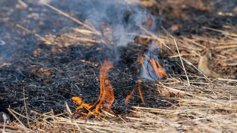 Két magyar megye is szerepel a legveszélyesebb területek listáján: ezt érdemes mindenkinek észben tartania - Agrárszektor