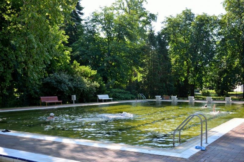 Ma ünnepeljük az Arthritis Világnapját, amely remek alkalom arra, hogy a figyelmet a mozgásszervi betegségekre irányítsuk. Felmerül a kérdés: vajon a gyógyvíz valóban enyhítheti az ízületi gyulladás kellemetlen tüneteit?
