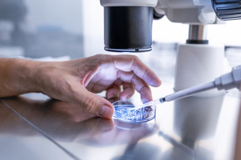 Egy apró, tenyérnyi szegedi laboratóriumban forradalmi felfedezések születhetnek, amelyek meghatározhatják, hogy a különböző rákos megbetegedésekkel küzdő betegeknél melyik kezelési módszer bizonyul a leghatékonyabbnak. A Házipatika által bemutatott innov